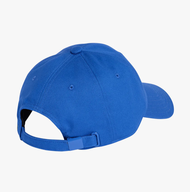 Club América Dad Cap