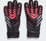 Goalkeeper Gloves