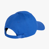 Club América Dad Cap