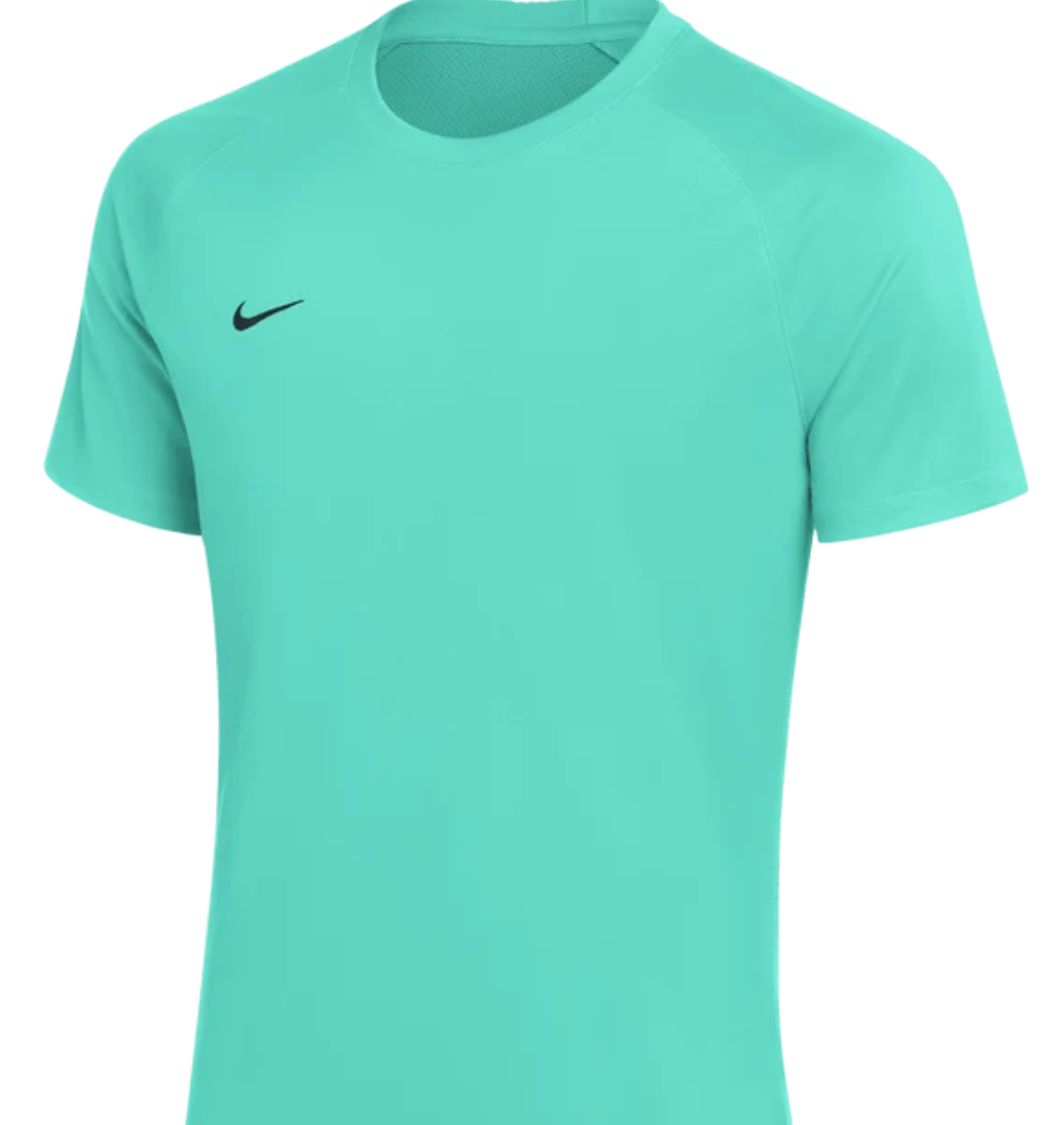Park VIII Jersey